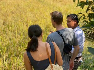 Tour đi xe đạp về vùng quê Mekong