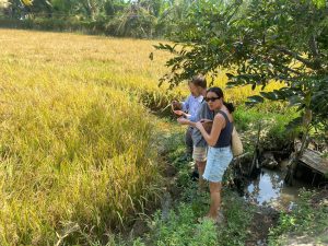 Tour đi xe đạp về vùng quê Mekong