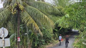 Tour đi xe đạp về vùng quê Mekong