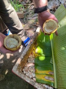 Tham quan chợ nổi kết hợp với vườn Cacao đi bằng tàu