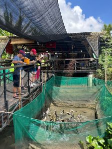 Tour khám phá Cồn Sơn ở Cần Thơ